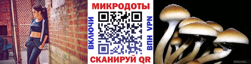 Псилоцибиновые грибы Magic Shrooms  Струнино 