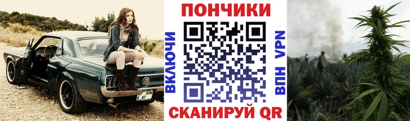 купить  цена  Струнино  Канабис ГИДРОПОН 